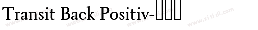 Transit Back Positiv字体转换